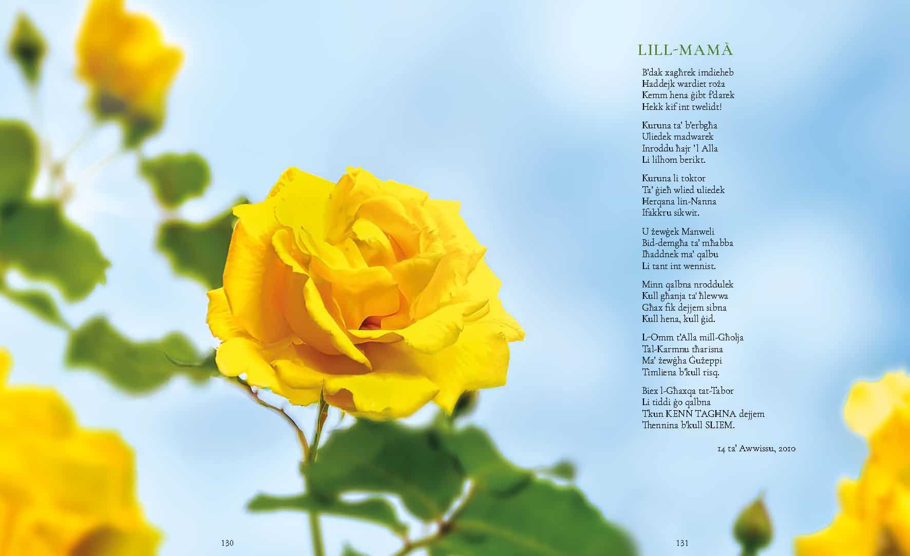 L-Għanja ta' Ħabib, Charles J. Scicluna - Image 2