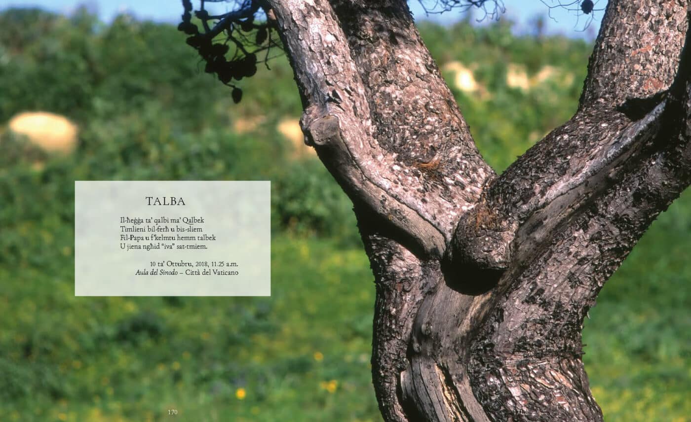 L-Għanja ta' Ħabib, Charles J. Scicluna - Image 4