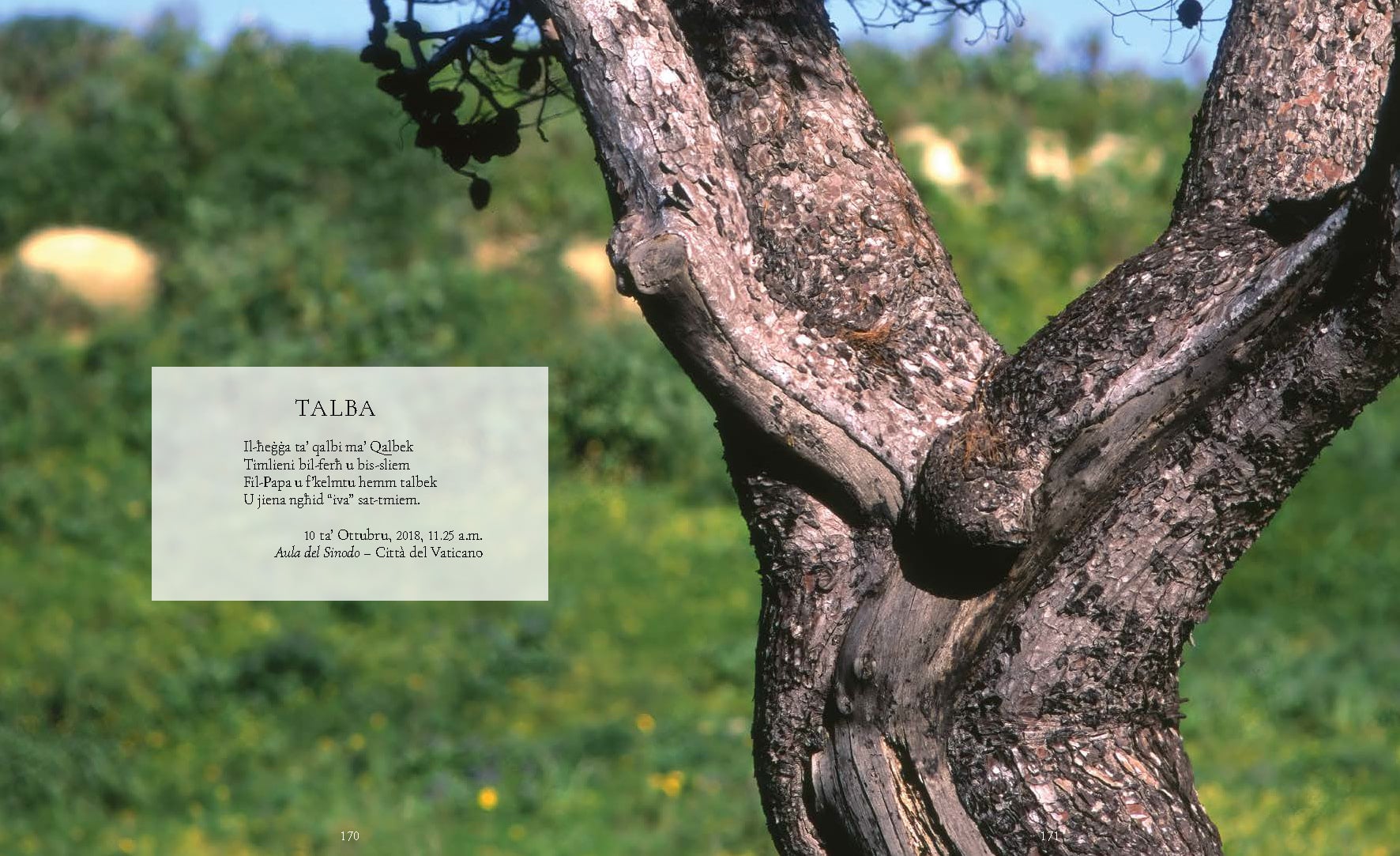L-Għanja ta' Ħabib, Charles J. Scicluna - Image 4